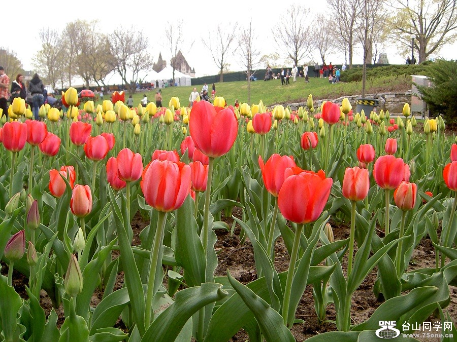 PICT4541.JPG