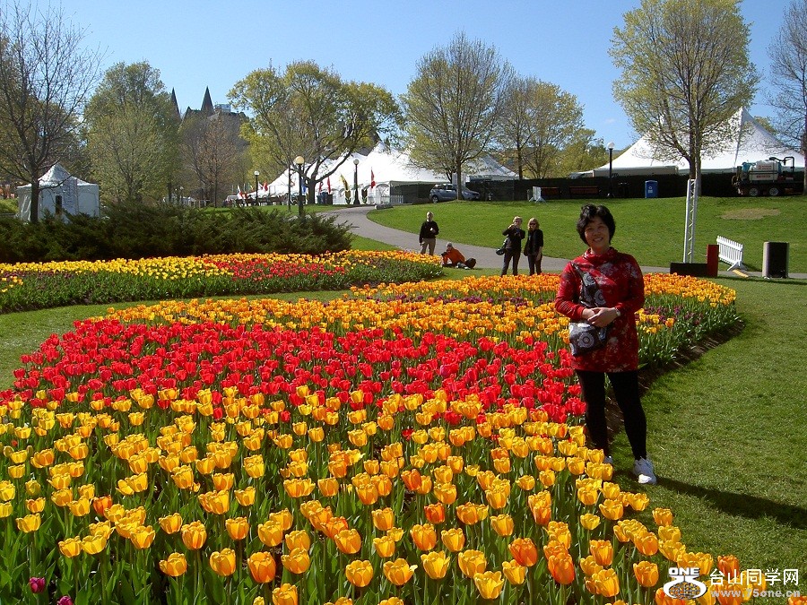 PICT4671.JPG