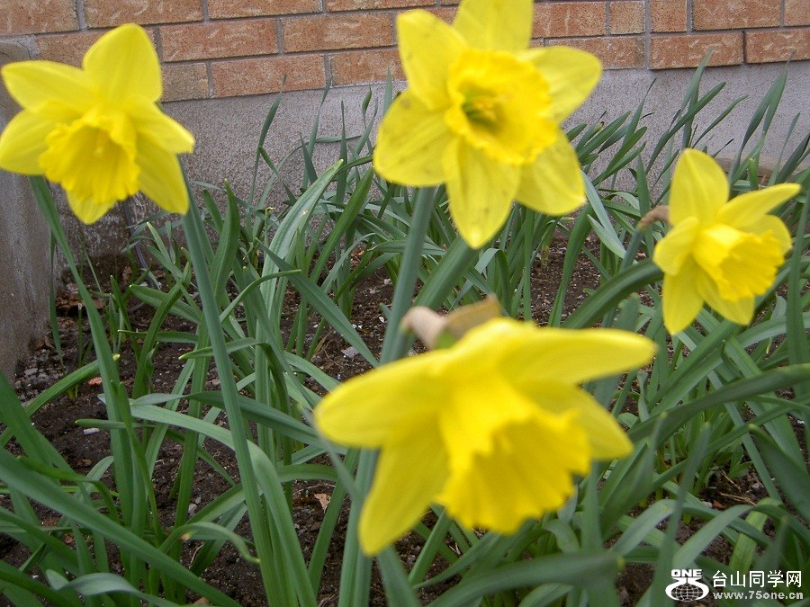 PICT4432.JPG