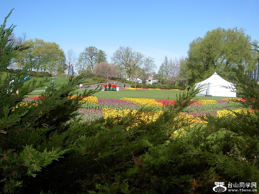 PICT4639.JPG