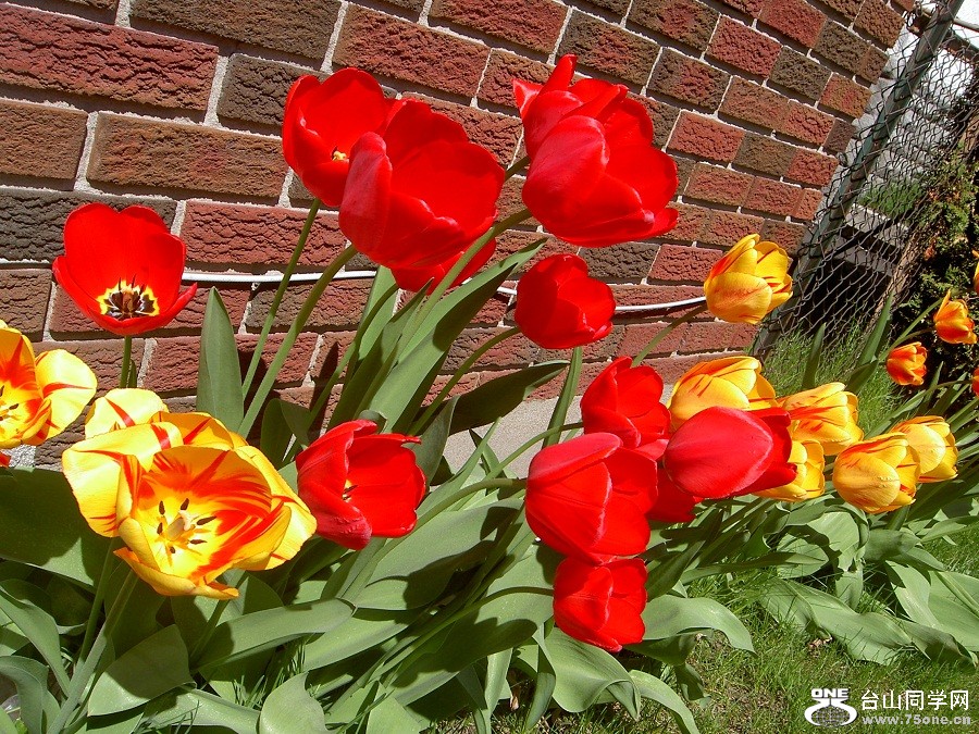 PICT4590.JPG