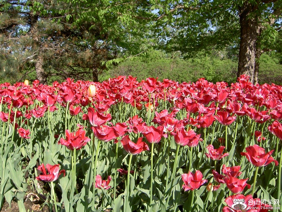 PICT4854.JPG