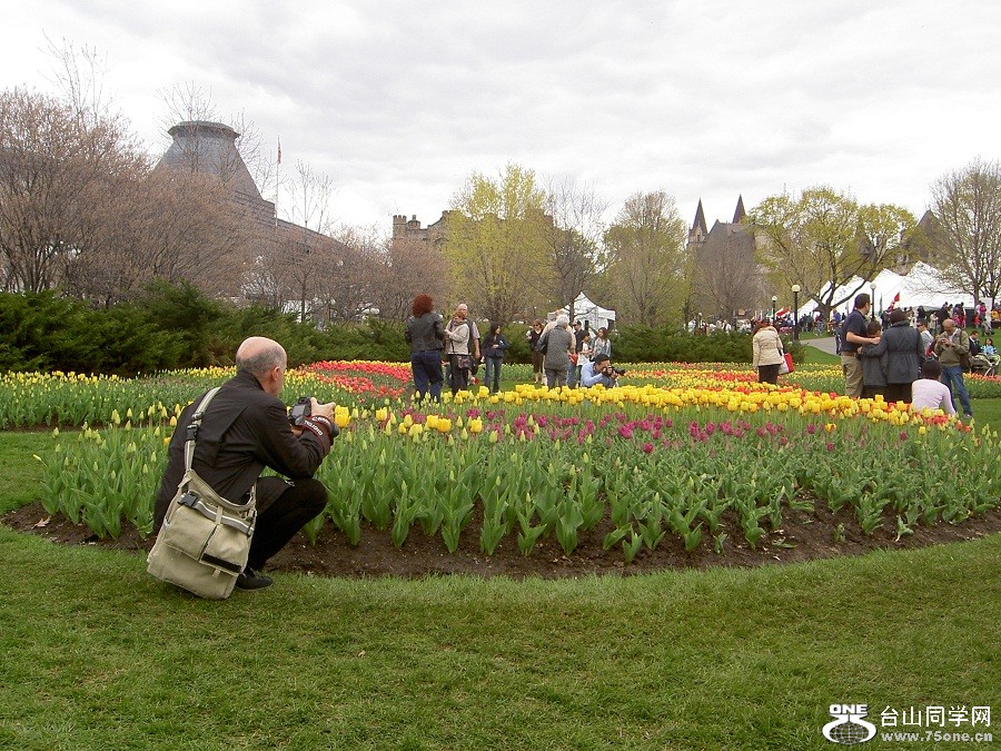 PICT4526.JPG