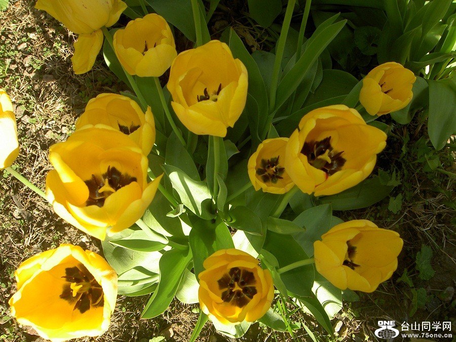 PICT4606.JPG