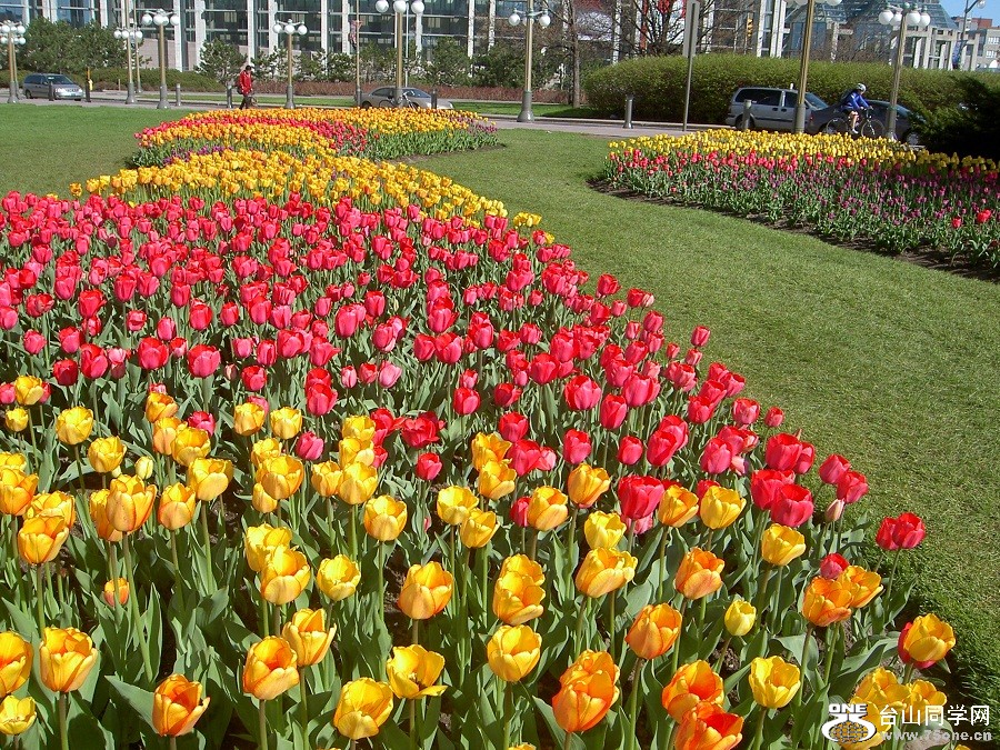 PICT4625.JPG