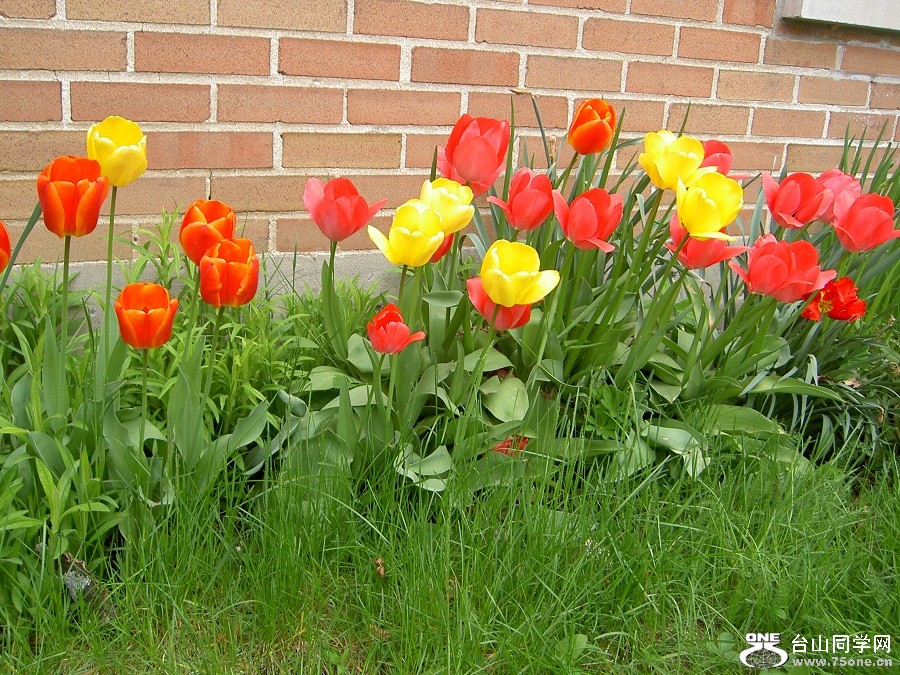PICT4498.JPG