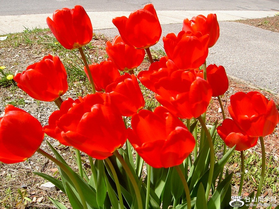 PICT4581.JPG