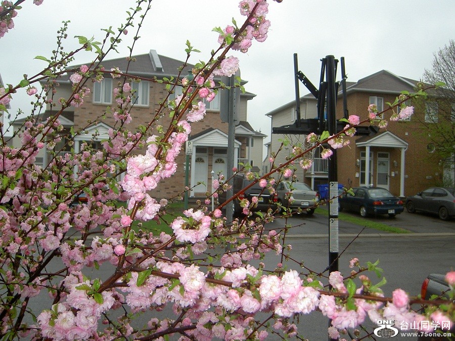 PICT4683.JPG