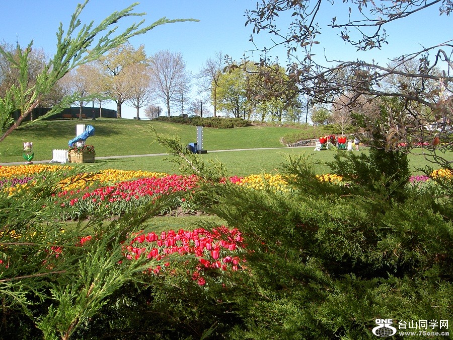 PICT4638.JPG