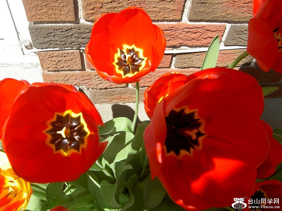 PICT4588.JPG