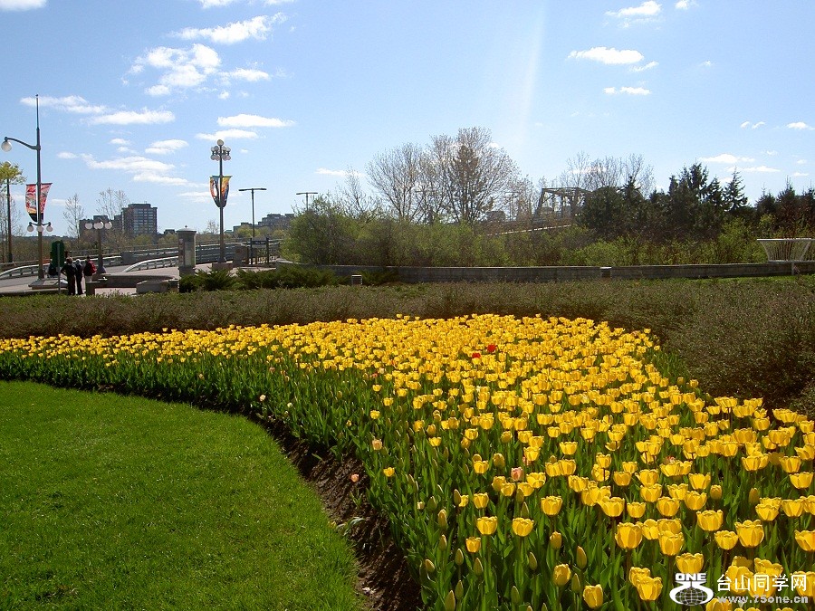 PICT4678.JPG