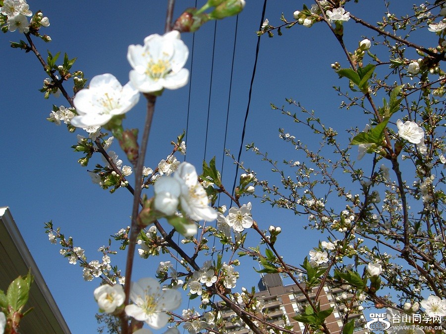 PICT4603.JPG