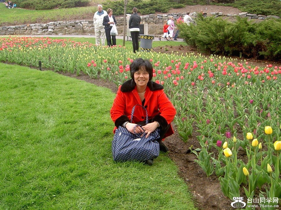 PICT4543.JPG
