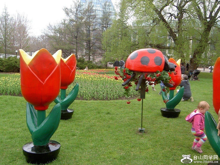 PICT4538.JPG