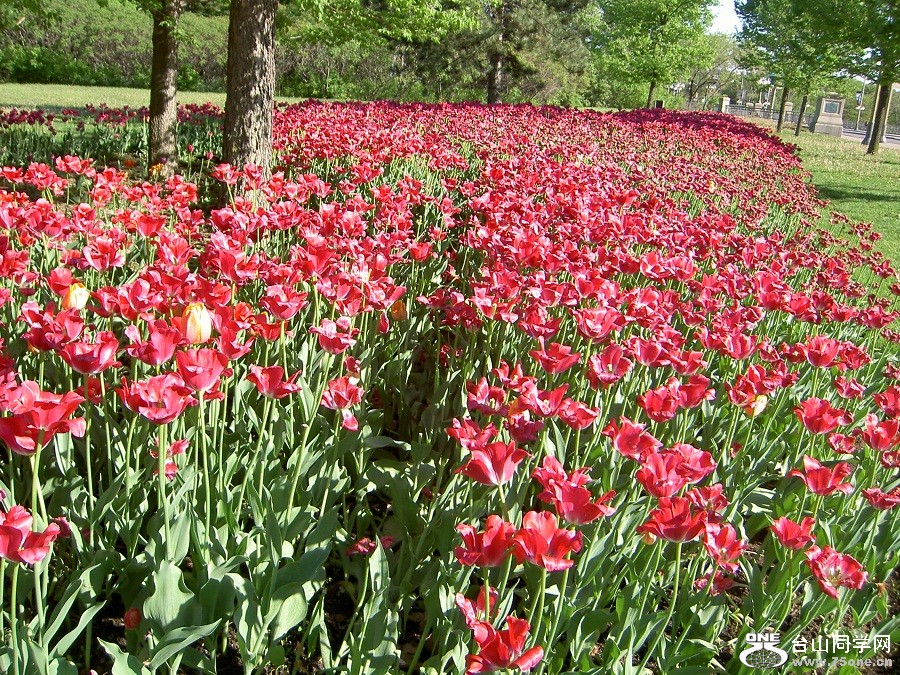 PICT4853.JPG