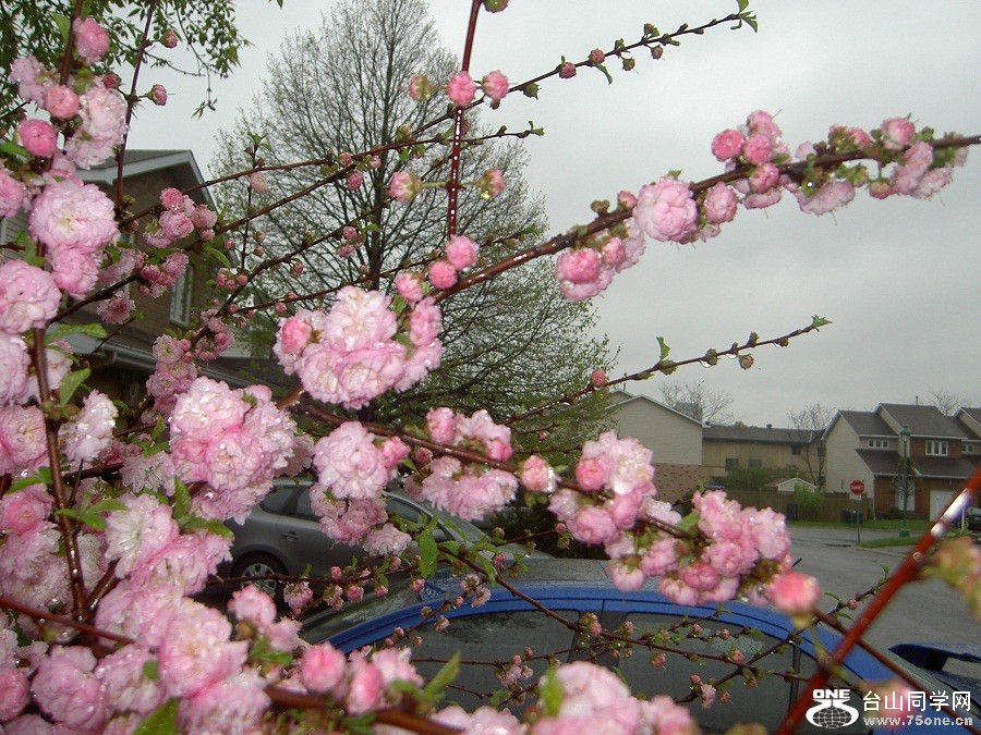 PICT4681.JPG