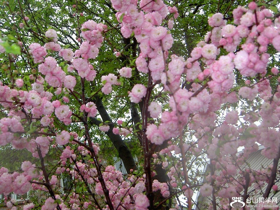 PICT4691.JPG