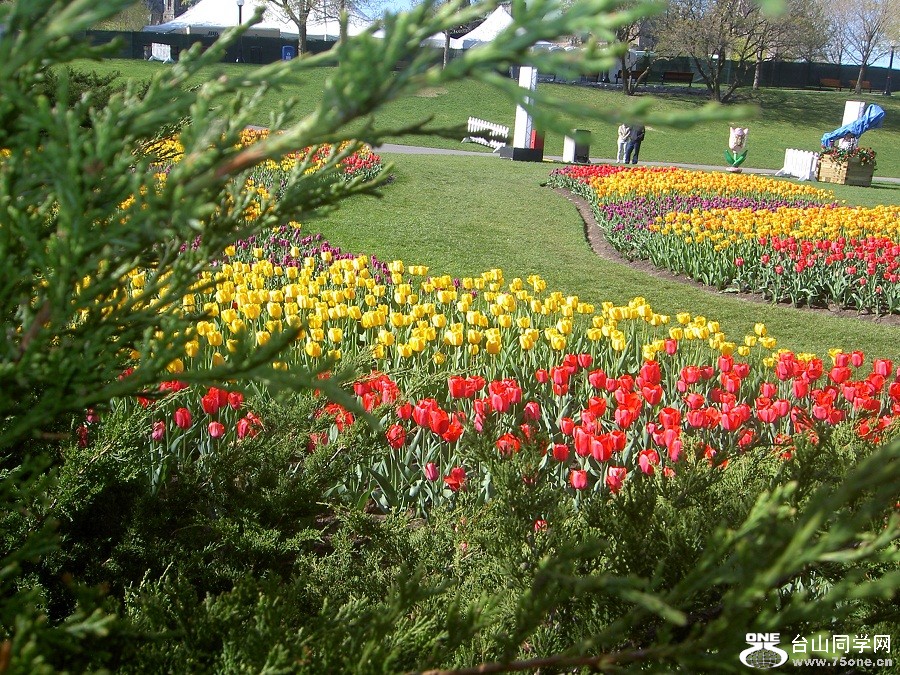 PICT4636.JPG