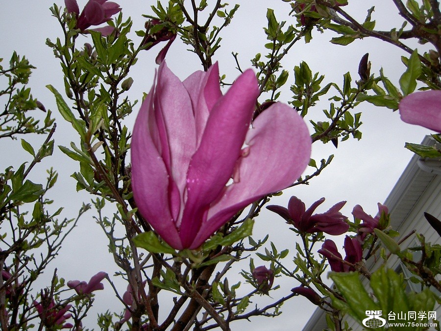 PICT4777.JPG