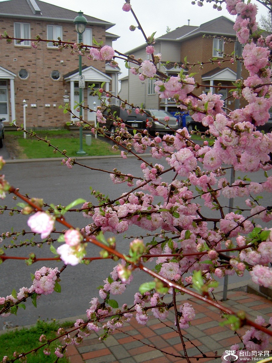 PICT4684.JPG