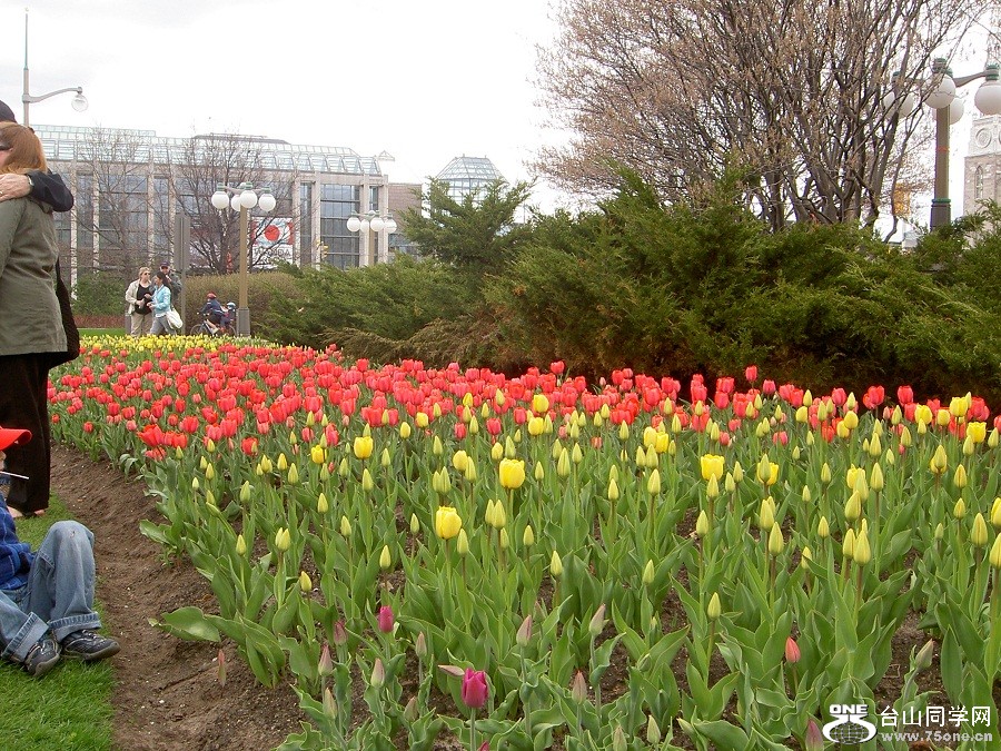 PICT4533.JPG