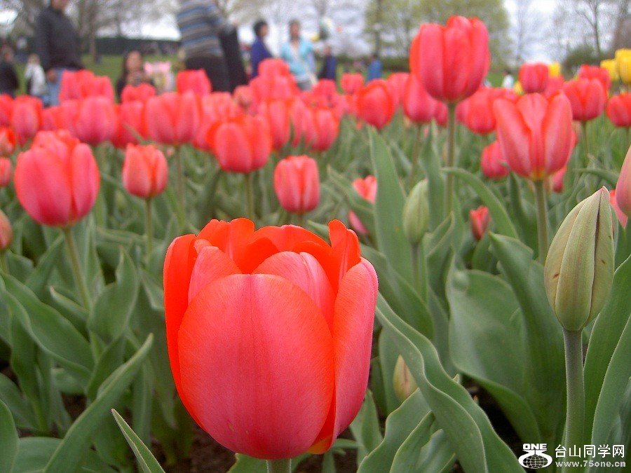 PICT4537.JPG