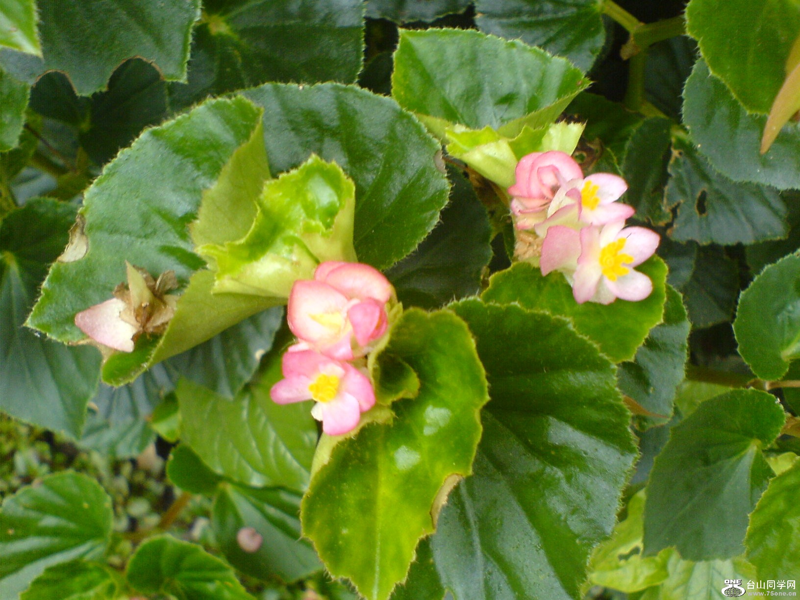 DSC05895.JPG