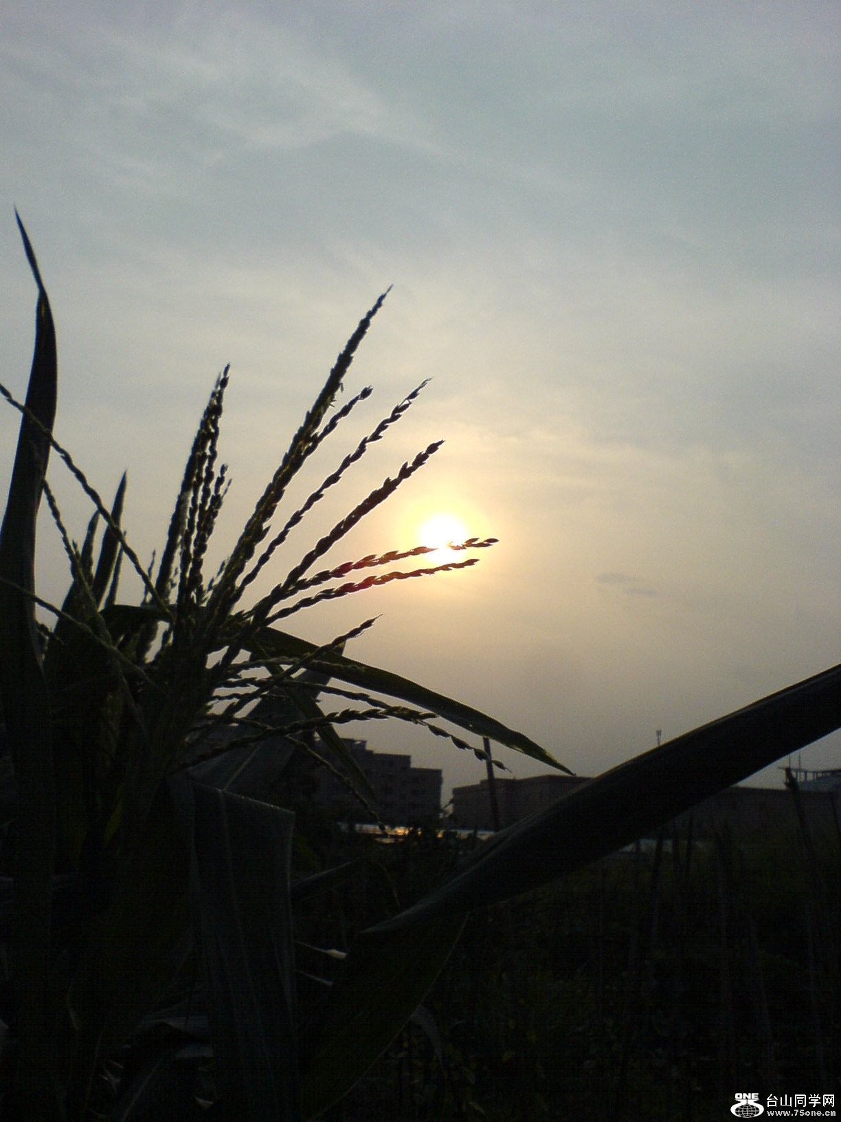 DSC05868.JPG