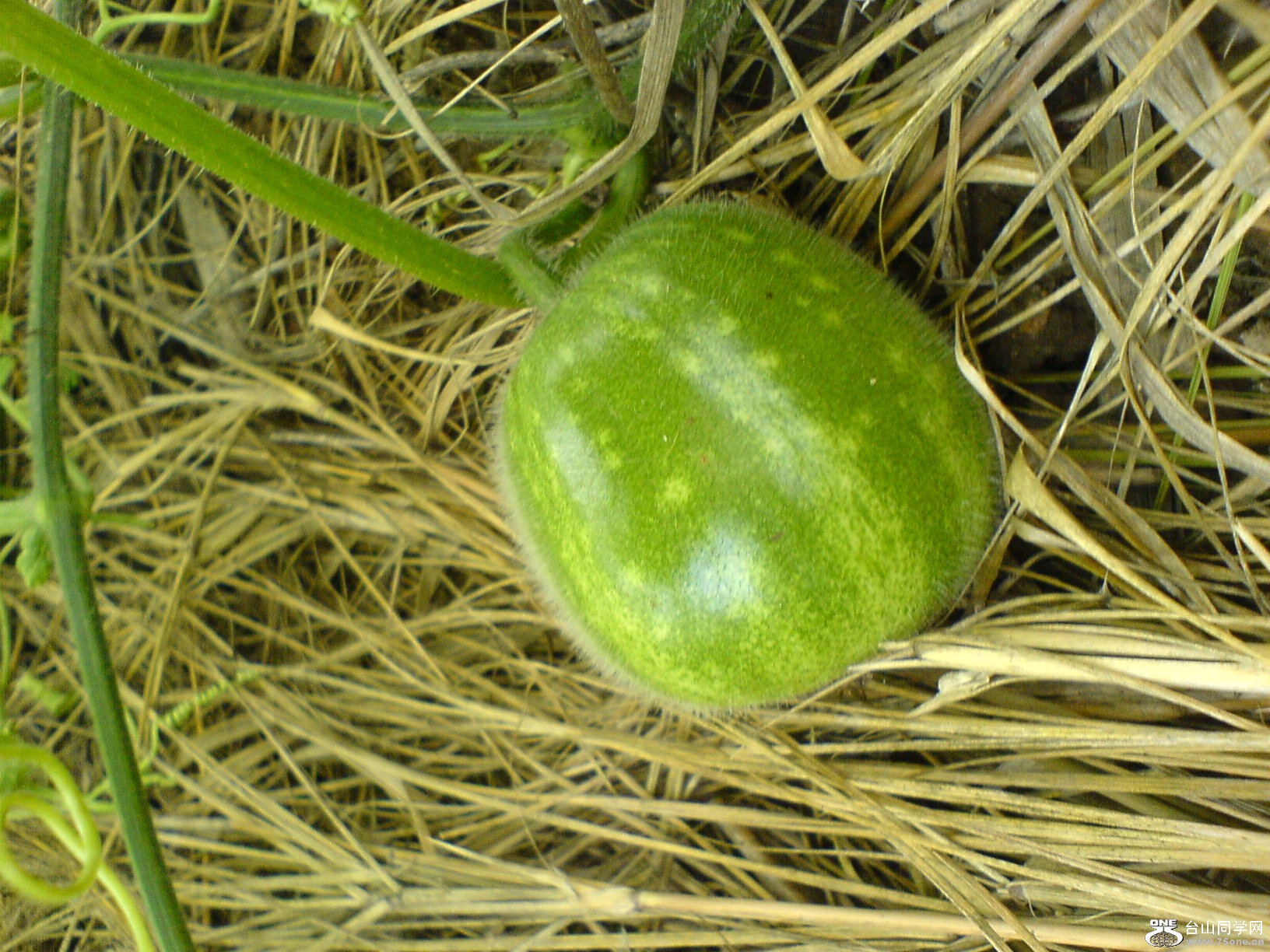 DSC05746.JPG