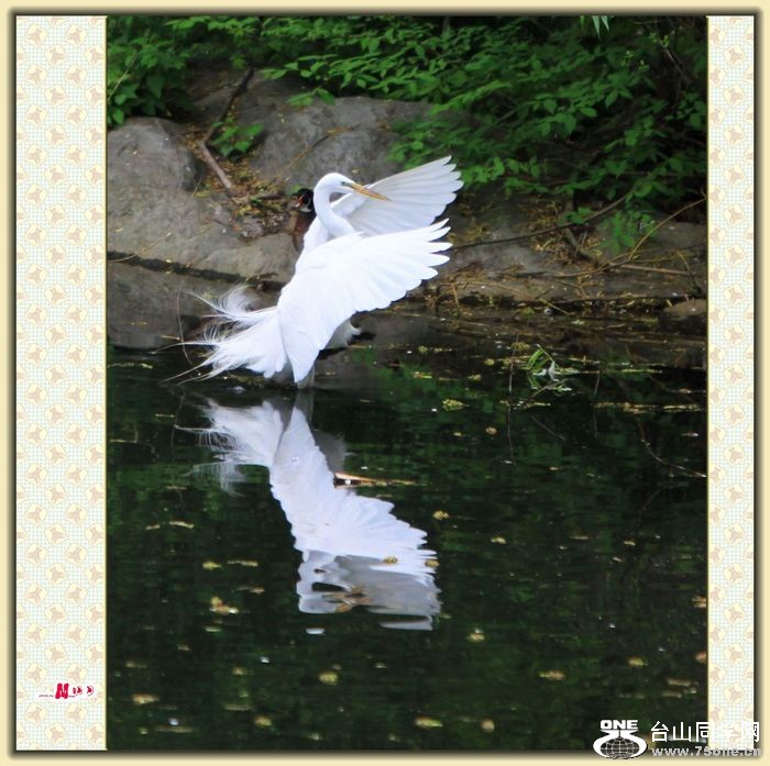 IMG_5798.jpg