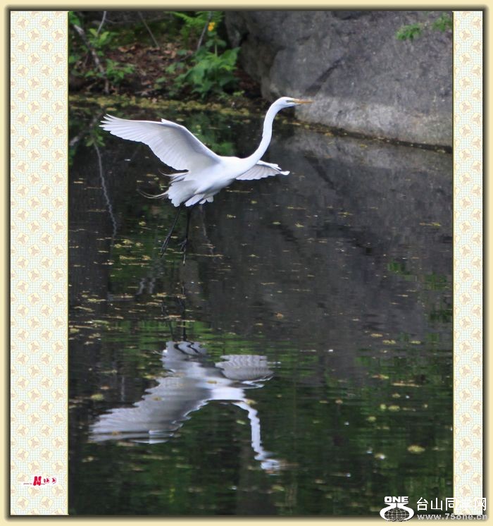 IMG_5791.jpg