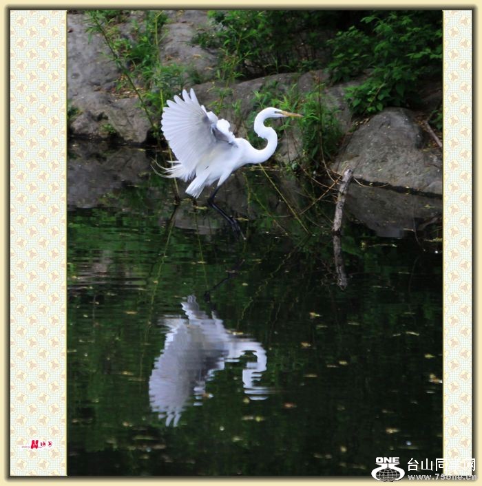 IMG_5796.jpg