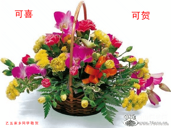 201033161533_.gif