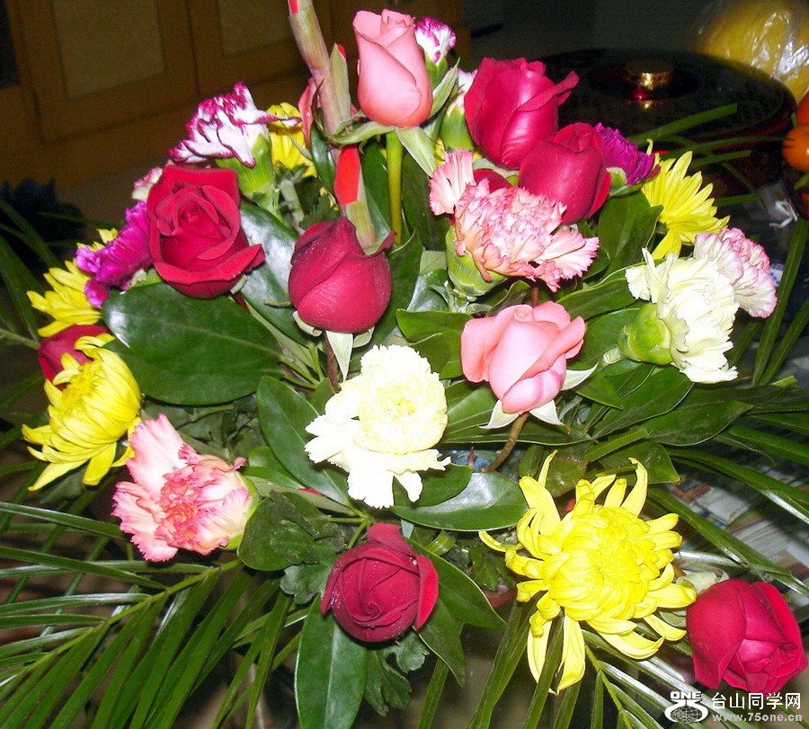 DSC05064.jpg