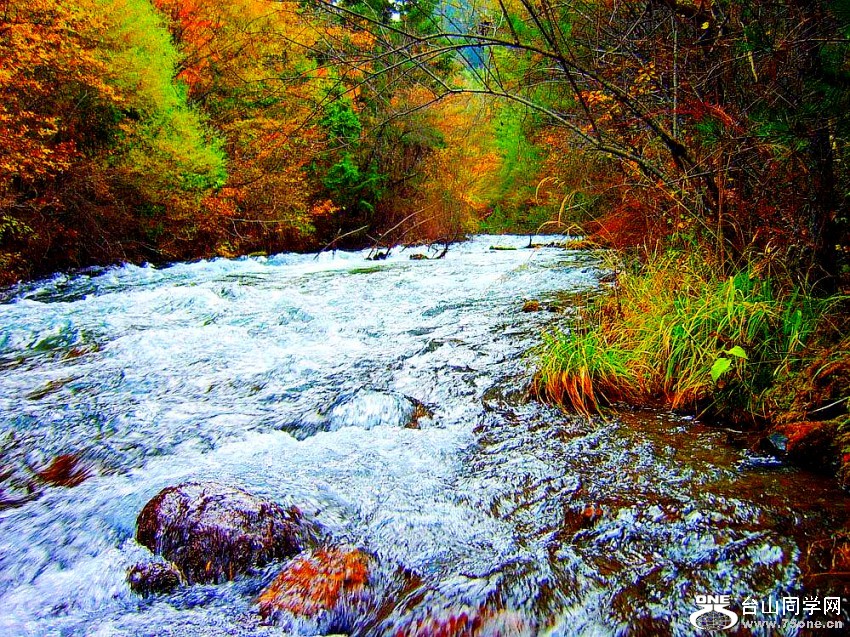 20070723102445831_conew1.jpg
