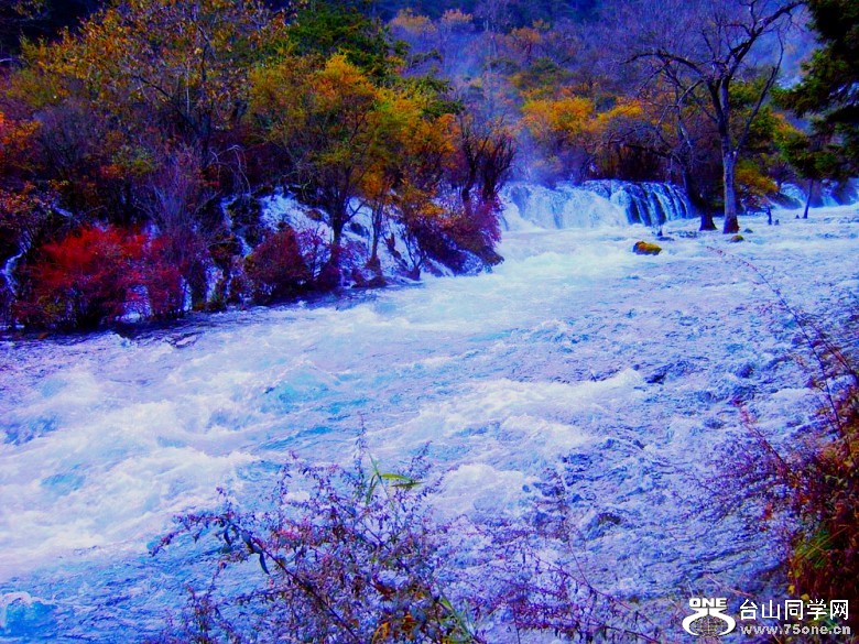 2007072312425746_conew1.jpg