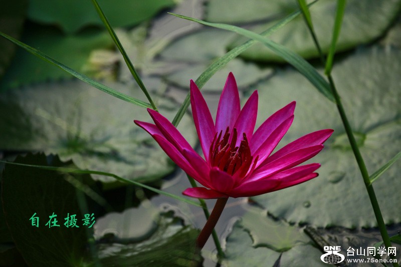 _MG_8565a.jpg