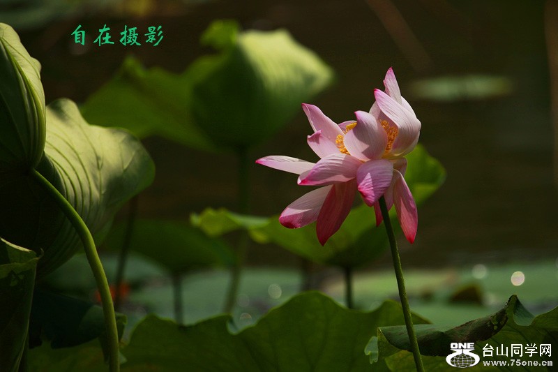 _MG_8163aa.jpg