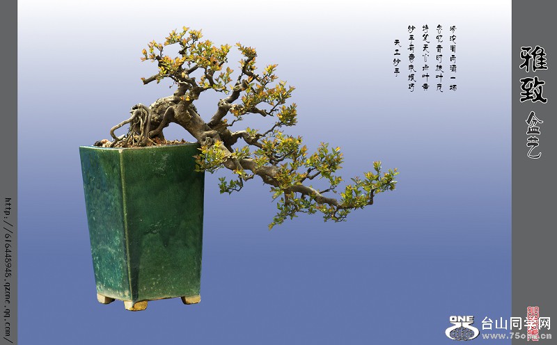 辰5.jpg