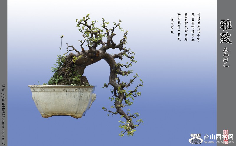 辰4tif.jpg