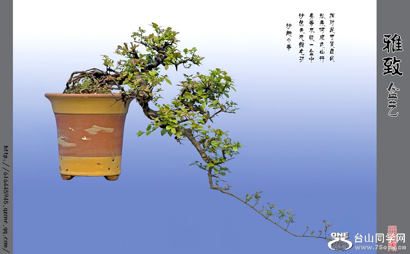 辰3.jpg