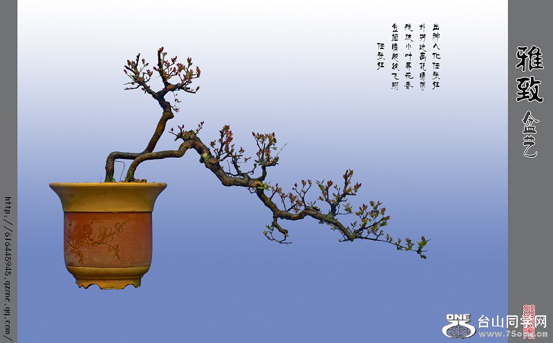 辰7.jpg