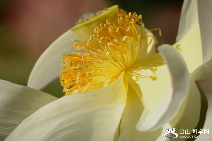 DSC_0113A .jpg