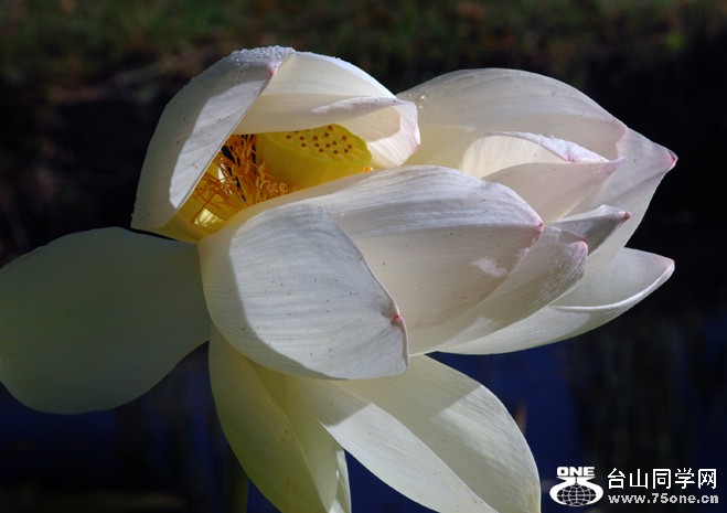 DSC_0060A .jpg