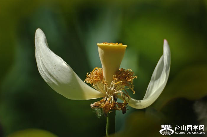 DSC_0272A .jpg