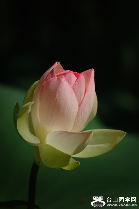 DSC_0206A .jpg