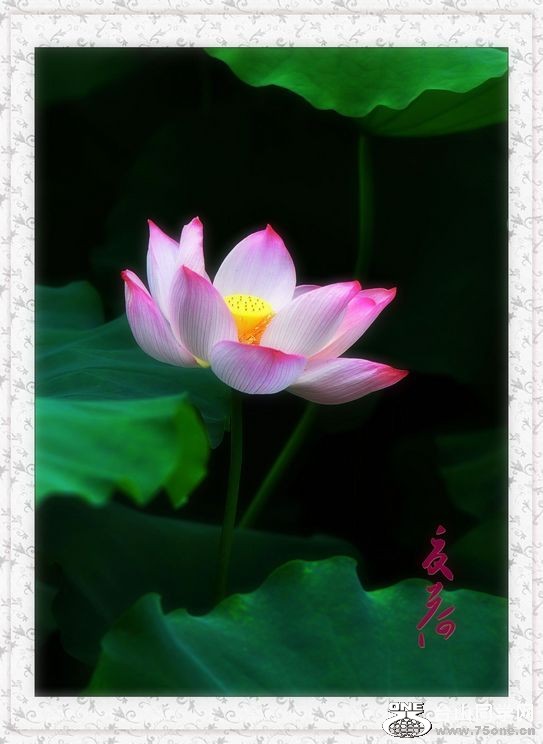 nEO_IMG_DSC_0108_conew1.jpg