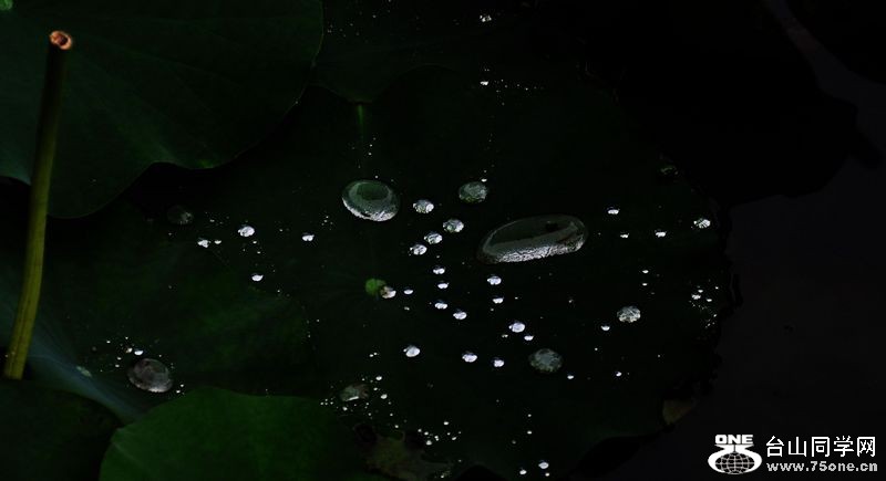 DSC_0301.JPG