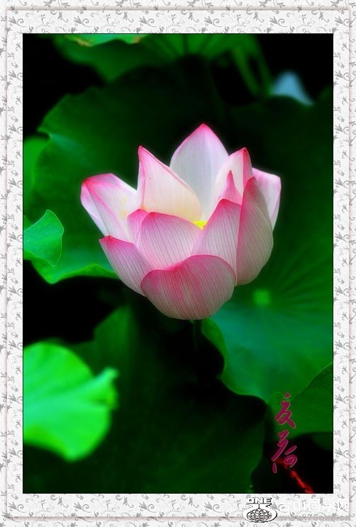 nEO_IMG_DSC_0224_conew1.jpg