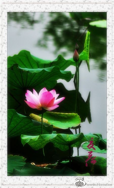 nEO_IMG_DSC_0045_conew1.jpg